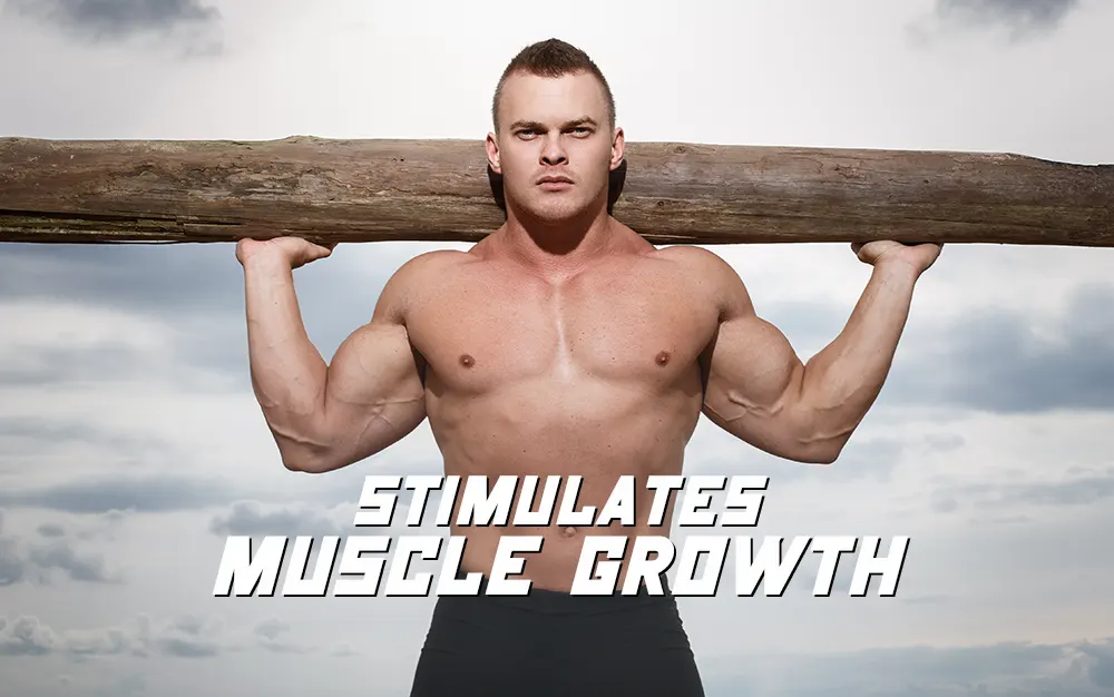 Alternative for Muscle Building