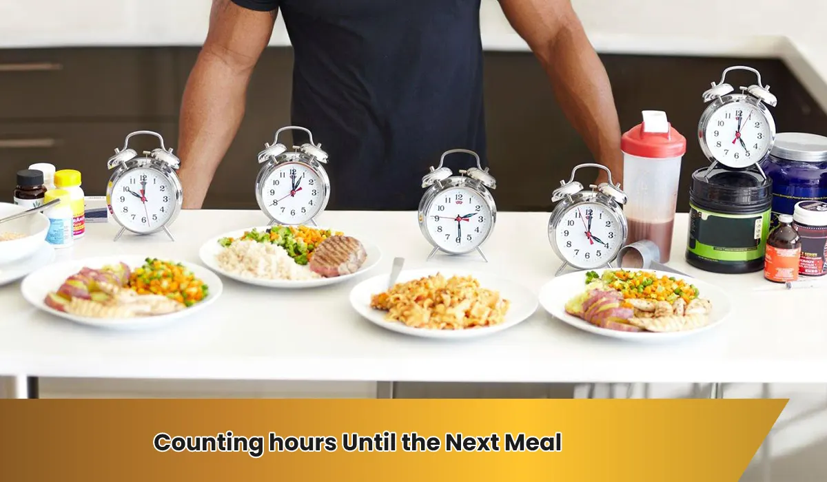 Counting hours Until the Next Meal