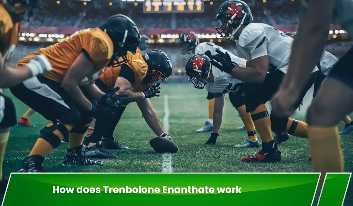 How does Trenbolone Enanthate work inside the user’s body?